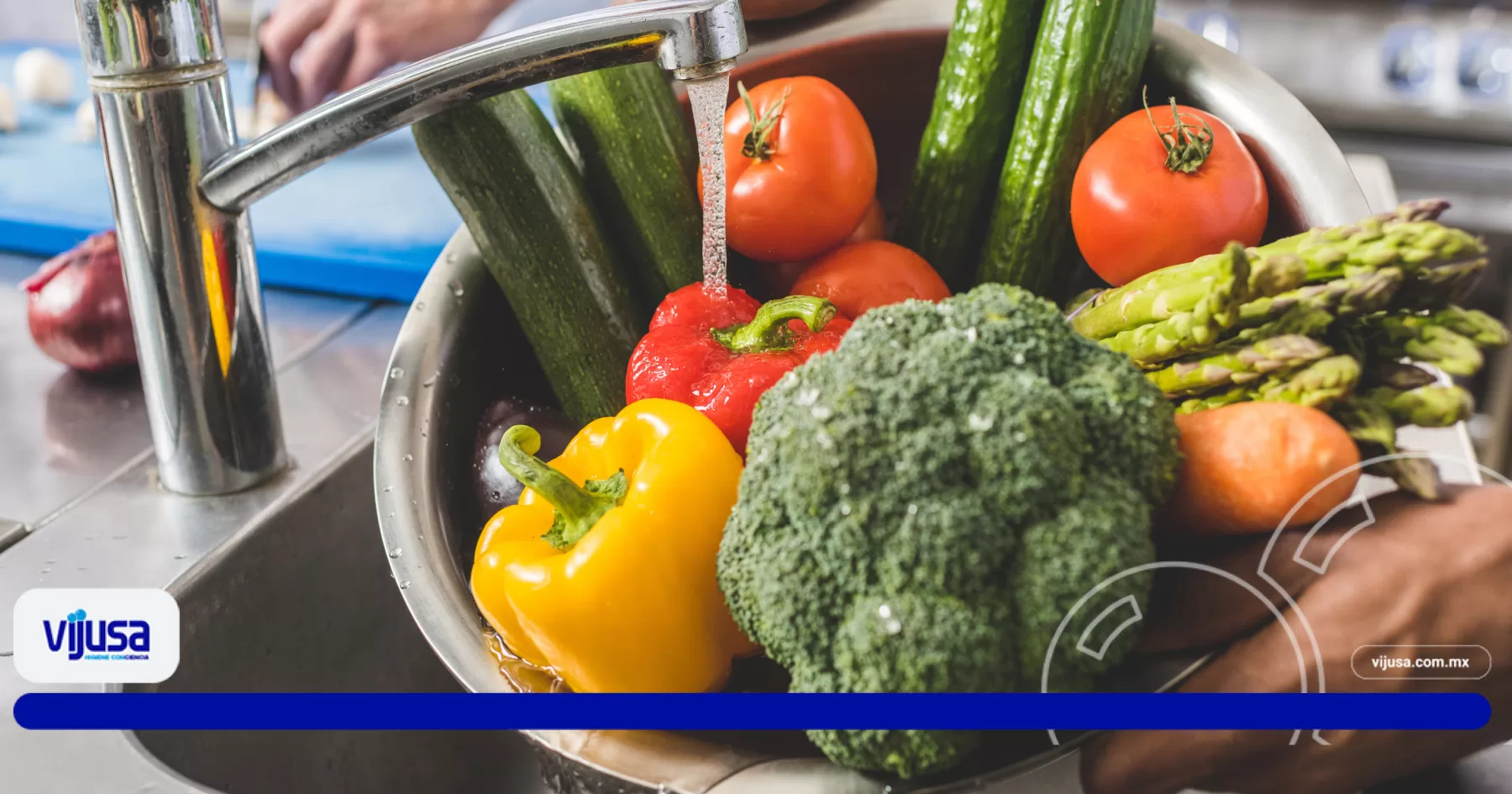 desinfección de alimentos vijusa mexico